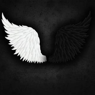 Black and white angel wallpaper