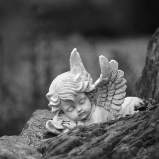 Black and white angel wallpaper