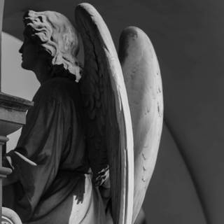 Black and white angel wallpaper