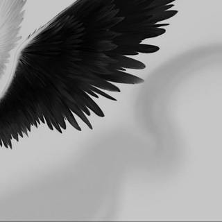 Black and white angel wallpaper