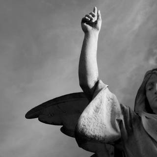 Black and white angel wallpaper