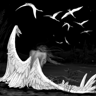 Black and white angel wallpaper