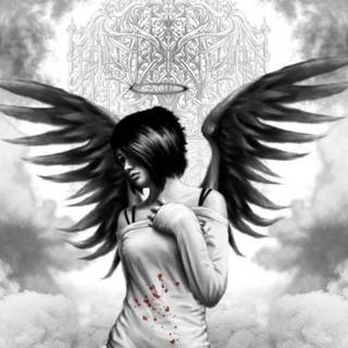 Black and white angel wallpaper