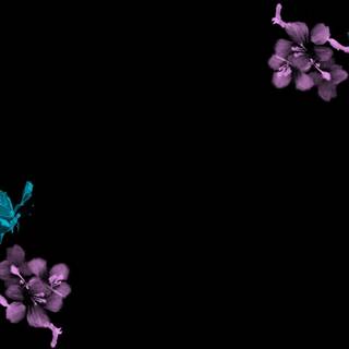 Cherry Blossom dark wallpaper