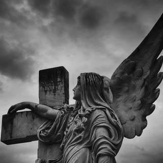 Black and white angel wallpaper