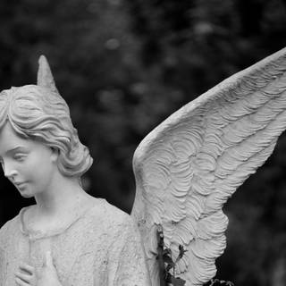 Black and white angel wallpaper