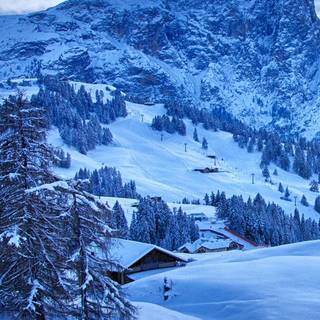 4k snow iPhone wallpaper