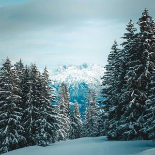 4k snow iPhone wallpaper