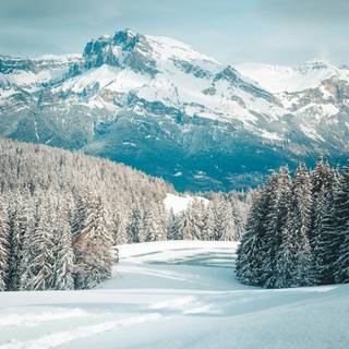 4k snow iPhone wallpaper