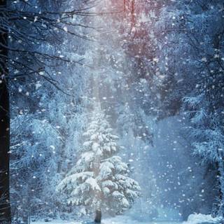 4k snow iPhone wallpaper