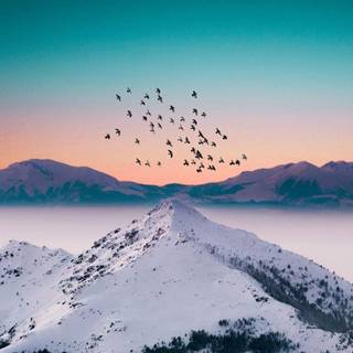 4k snow iPhone wallpaper