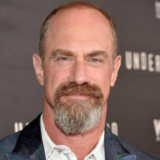 Christopher Meloni wallpaper