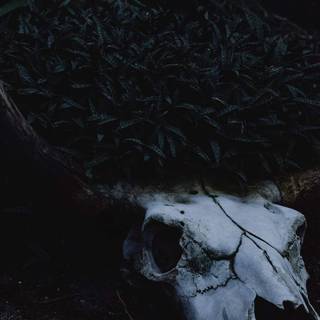 Peaceful Halloween wallpaper