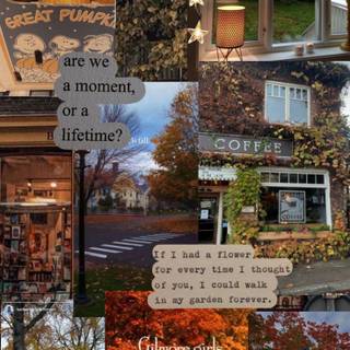 Cute girl autumn wallpaper