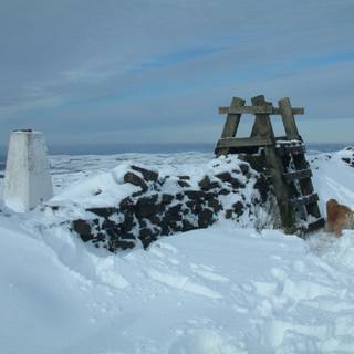 Shining Tor wallpaper