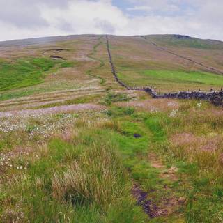 Shining Tor wallpaper