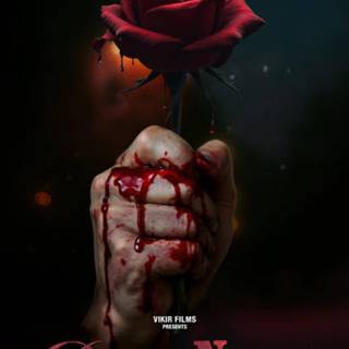 Ek Deewane ki Deewaniyat wallpaper