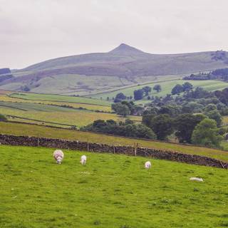 Shining Tor wallpaper