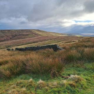 Shining Tor wallpaper