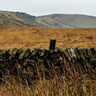 Shining Tor wallpaper