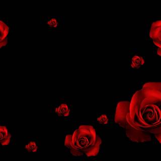 Dark red roses desktop wallpaper