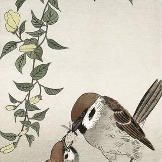 Ohara Koson wallpaper