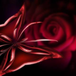 Dark red roses desktop wallpaper