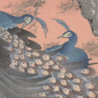 Ohara Koson wallpaper