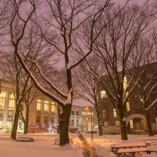 Harvard Law School wallpaper