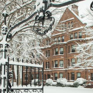 Harvard Law School wallpaper