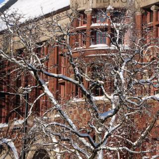 Harvard Law School wallpaper