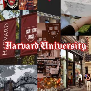 Harvard Law School wallpaper