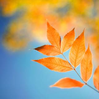 Windows 8 lock screen wallpaper