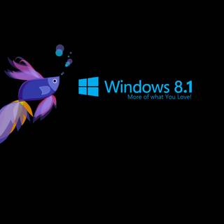 Windows 8 lock screen wallpaper