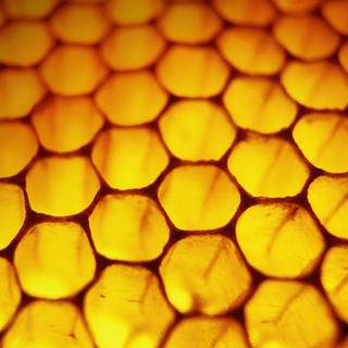 Windows 8 lock screen wallpaper