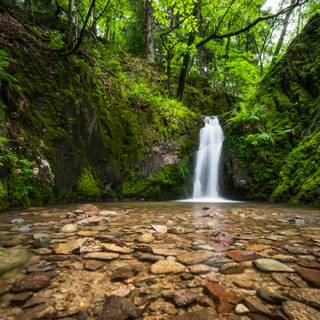 Black Forest Germany wallpaper