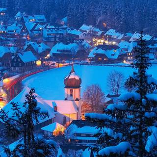 Black Forest Germany wallpaper