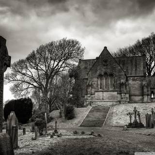 Ashes of Time wallpaper