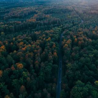 Black Forest Germany wallpaper