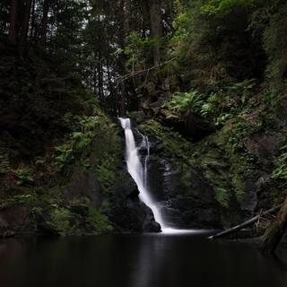 Black Forest Germany wallpaper