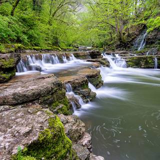 Black Forest Germany wallpaper