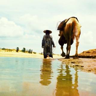 Ashes of Time wallpaper