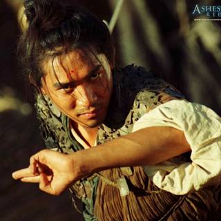 Ashes of Time wallpaper