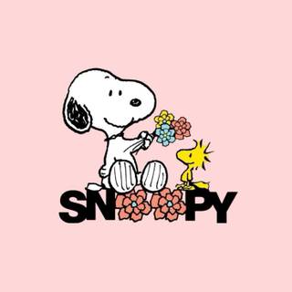 Snoopy pink wallpaper