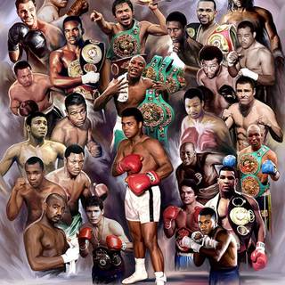 Boxing champion wallpaper