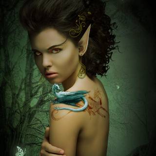 Elf desktop wallpaper