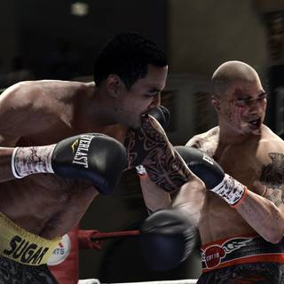 Boxing champion wallpaper