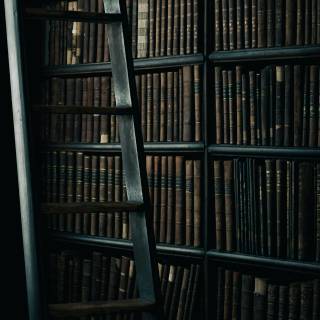 Magical library wallpaper
