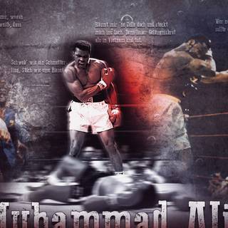 Boxing champion wallpaper