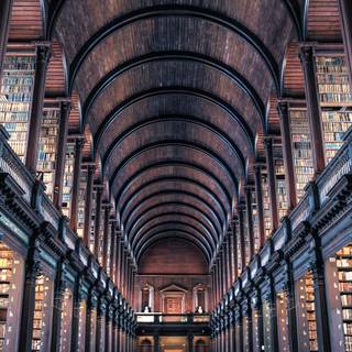 Magical library wallpaper